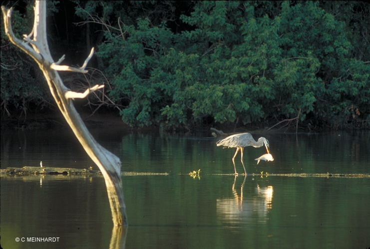 Photo 3 from ARMAND BAYOU NATURE CENTER INC